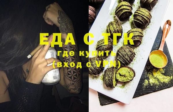 индика Кулебаки