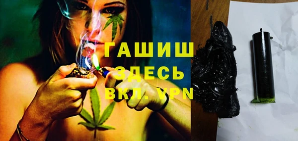 индика Кулебаки