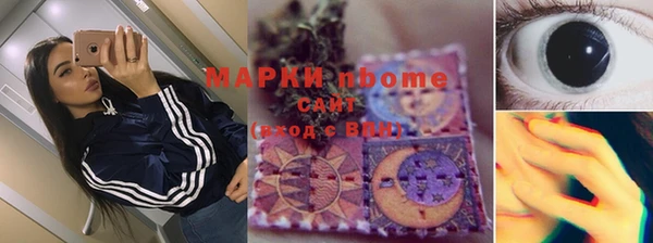 индика Кулебаки
