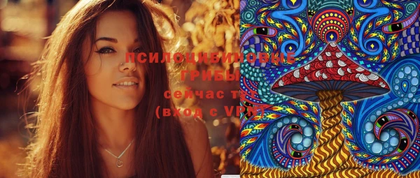 индика Кулебаки