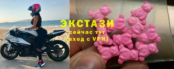 индика Кулебаки