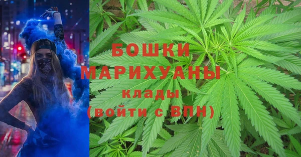 гашик Куйбышев