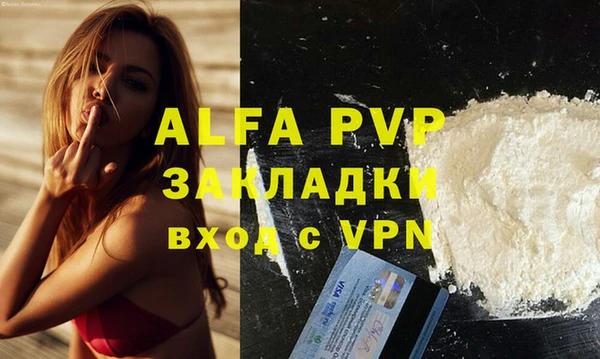 гашик Куйбышев
