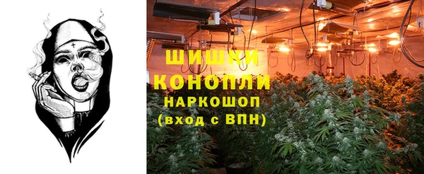 индика Кулебаки
