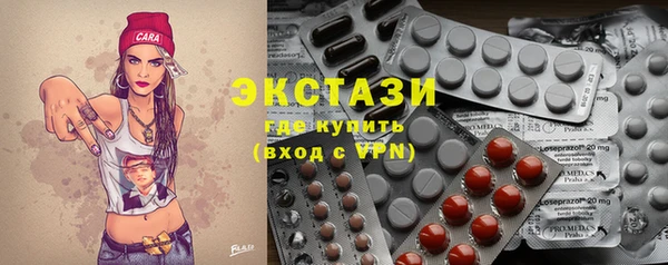 индика Кулебаки