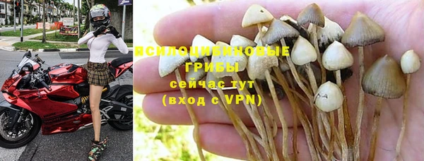 индика Кулебаки
