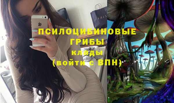 гашик Куйбышев