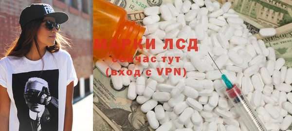 индика Кулебаки