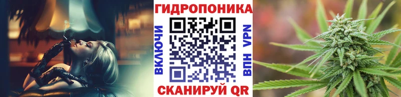 Бошки марихуана семена  Купить  Салаир 